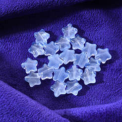 20 шт. Прозрачные стеклянные бусины&nbsp;GLAA-YW0001-08