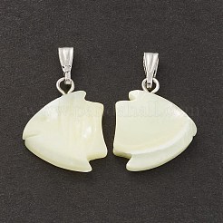 Натуральная ракушка трохида / подвески из ракушки трохуса&nbsp;SSHEL-K027-10