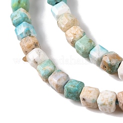 Fili di perline howlite naturale&nbsp;G-H025-04A