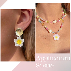 40шт 10 стиля непрозрачные подвески из смолы&nbsp;FIND-SC0019-47