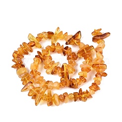 天然琥珀ビーズ連売り  チップ  4.5~18x4~8.5x3~6mm  穴：0.6~0.7mm  約106個/連  14.96インチ（38cm）&nbsp;G-N371-13A-01