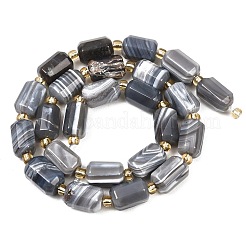 Природные Ботсвана агат бисер нитей&nbsp;G-P611-A01-01