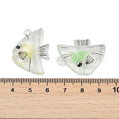 10 шт. прозрачные светящиеся акриловые подвески&nbsp;TACR-FP0001-02A