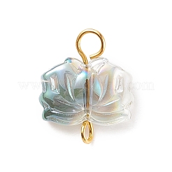 Шармы разъема гальванического стекла&nbsp;PALLOY-JF01539