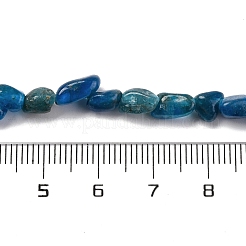 Fili di perline di apatite naturale di colore sfumato&nbsp;G-L610-B12-01