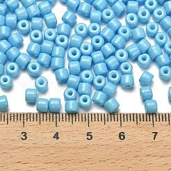 Perles de verre nacrées avec peinture à cuisson&nbsp;SEED-C001-04A-08