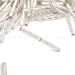 Серебряные подкладке прозрачное стекло стеклярусом SEED-R028-2x15-B02