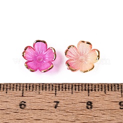Chapeaux de perles en plastique&nbsp;KY-Q005-04A-05