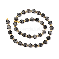 Натуральные нити бус из ларвикита G-C116-A30-02