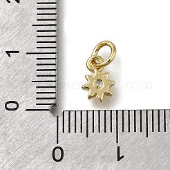 Messing micro pave klare zirkonia anhänger&nbsp;LS-ZIRC-I070-032G
