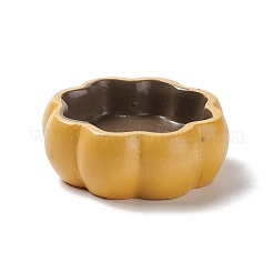 Хэллоуин тема мини смолы украшения домашнего дисплея DJEW-B005-22