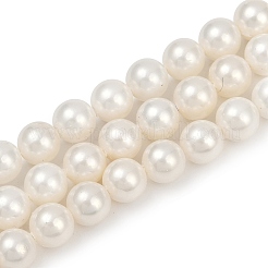 Полированные оболочки жемчужина круглый бисер нитей PEAR-XCP0001-11