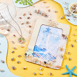 170 г натуральных спиральных бусин из ракушек BSHE-PH0001-44