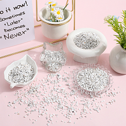 500 г бусинок из говлита G-SP0001-04