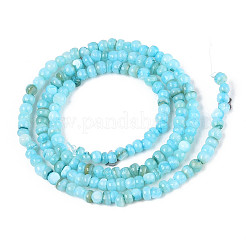 Brins de perles d'eau douce naturelles teints en coquille&nbsp;SHEL-T020-29B-02