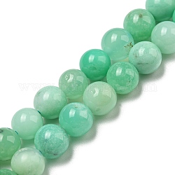 Brins de perles de chrysoprase naturelle de qualité aa, ronde, 6mm, Trou: 0.8mm, Environ 60 pcs/chapelet, 15.16~15.28'' (38.5~38.8 cm)