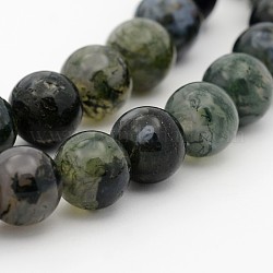 Perles de pierre rondes naturelles en mousse verte, 6mm, Trou: 1mm, Environ 61 pcs/chapelet, 15.2 pouce