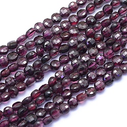 Natural Garnet Beads Strands, Faceted, Flat Round, 4x2.5mm, Hole: 0.6mm, about 100pcs/strand, 15.35 inch(39cm)