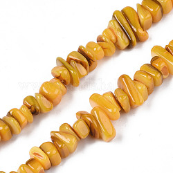Fili di perle di conchiglia trochid naturale / trochus, tinto, pezzo, goldenrod, 7~22x5~8x1~6.5mm, Foro: 1 mm, circa 96~111pcs/filo, 14.37 pollice ~ 15.75 pollici (36.5 cm ~ 40 cm)