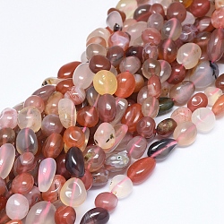 Natürliche Achat Perlen Stränge, Chip, 10~13x8~10x6~8 mm, Bohrung: 0.8 mm, ca. 39 Stk. / Strang, 15.75 Zoll (40 cm)