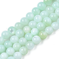 Natural Freshwater Shell Beads Strands, Dyed, Round, Light Cyan, 2.5mm, Hole: 0.5mm, about 122pcs/strand, 14.57''(37cm)