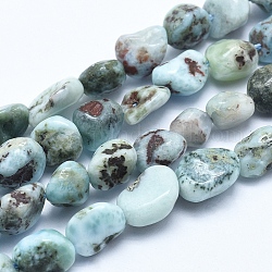 Larimar naturel brins de perles, pierre roulée, pépites, 5~8mm, Trou: 0.8mm, Environ 45~47 pcs/chapelet, 15.7 pouce (40 cm)