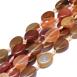 Agate à bandes naturelles / brins de perles d'agate à rayures, teints et chauffée, ovale, Pérou, 23~26x16~19x5~10mm, Trou: 1.6mm, Environ 12~13 pcs/chapelet, 15.4 pouce (39 cm)