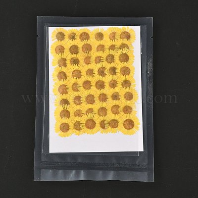 Центавр иберика тиснение сушеный цветок DIY-K032-65A-1