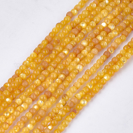 Perles de coquillage jaune brins SHEL-T012-50A-1