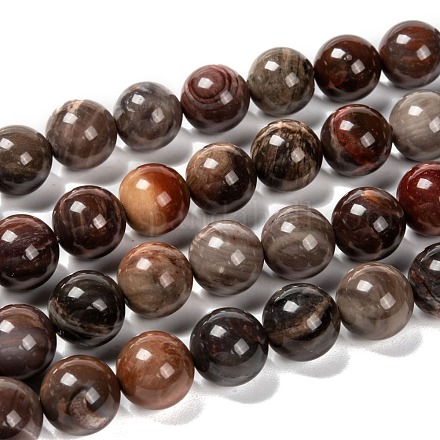 Bois pétrifié naturel brins de perles rondes G-F266-08-14mm-1