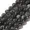 Natural Biotite Beads Strands, Round, 10mm, about 38pcs/strand