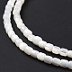 Brins de perles de coquillages naturels de troca SSHEL-H070-02G-5