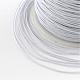 Nylon Thread NWIR-R013-1mm-484-3