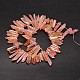 Electroplated Natural Quartz Crystal Beads Strands G-A142-03G-2