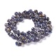 Natural Iolite  Beads Strands G-H243-06-2