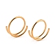 Двойное кольцо в носу для одиночного пирсинга AJEW-C010-02G-02-2