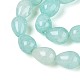 Backfarbe&nbsp;DGLA-N019-03A-M-4