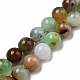 Chapelets de perles en serpentine naturelle G-R494-A03-03-1