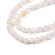 Eau douce naturelle de coquillage perles brins BSHE-T009A-01B-3