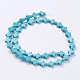 Synthetic Turquoise Beads Strands G-E456-15B-8x10m-2