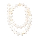 Eau douce naturelle de coquillage perles brins SHEL-F007-02-2