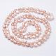 Natural Pearl Beaded Necklaces NJEW-P149-02B-2