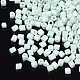 8/0 Two Cut Glass Seed Beads SEED-S033-06A-02-2