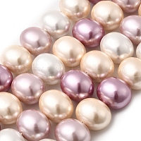 Оболочки жемчужина бисер нитей&nbsp;BSHE-F013-01P