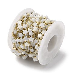 Ионное покрытие (ip) настоящие 18-каратные позолоченные цепочки из нержавеющей стали 316, со звездочкой из натуральной белой ракушки из бисера, с катушкой, пайки, белые, 6x6x2.8 мм