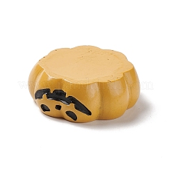 Хэллоуин тема мини смолы украшения домашнего дисплея DJEW-B005-22