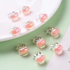 Прозрачные акриловые бусины TACR-S152-05B-SS2109