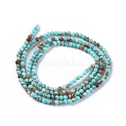 Fili di perline di magnesite naturale&nbsp;TURQ-F017-01A