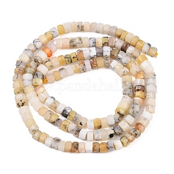 Натуральные дендритные африканские опаловые бусины&nbsp;G-G345-C21-2x4mm