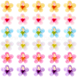 60pcs cabochons en plastique 6 couleurs&nbsp;KY-SC0002-54B